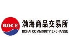 渤海商品交易所銅現貨交易的精準投資指南